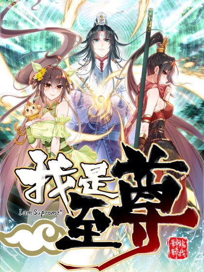 我是至尊封面